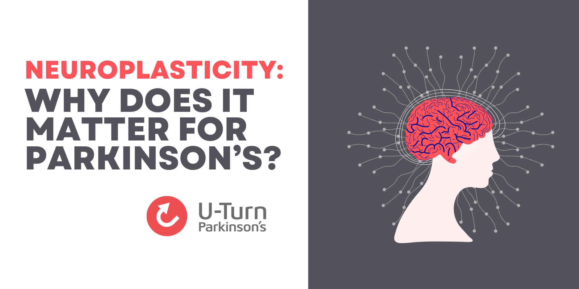 Neuroplasticity Mental Health Matters: Caring for the Whole You